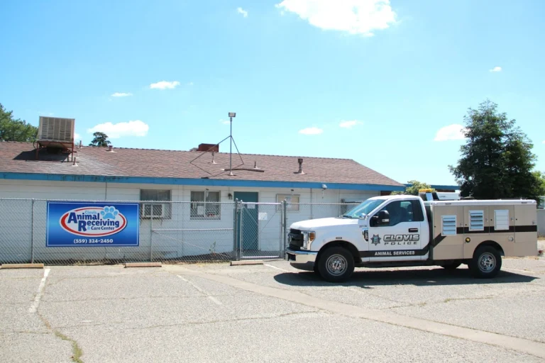 Clovis Animal Services, a dog-friendly animal rescue in Clovis, California