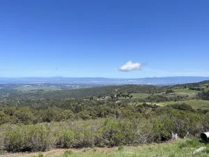 Coal Creek Open Space, a dog-friendly park in Redwood City, California