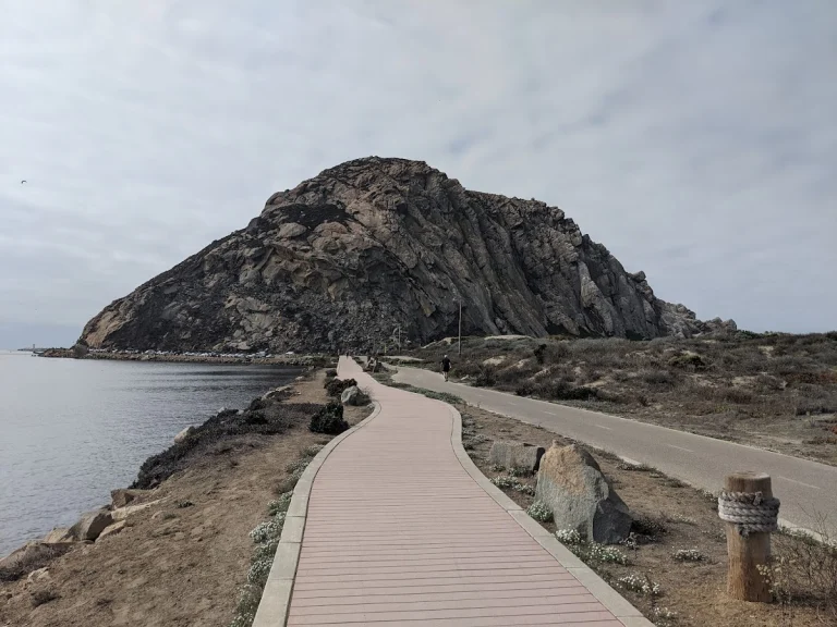 Coleman Park, a dog-friendly park in Morro Bay, California