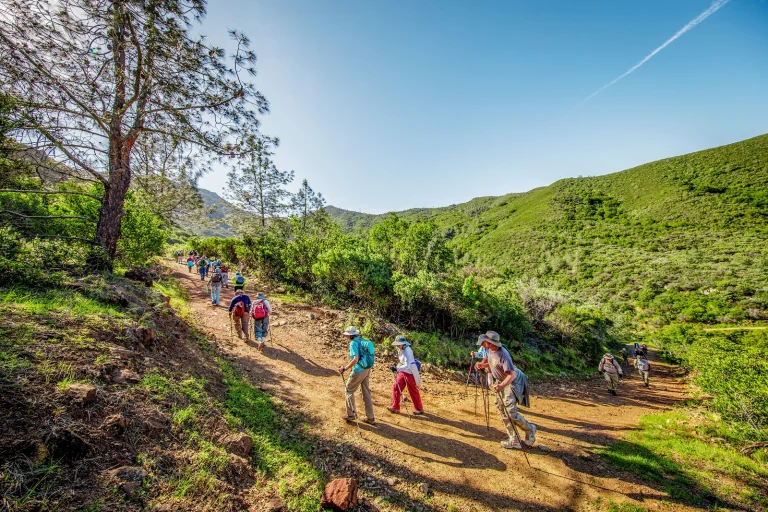 Concord California Visitor Google Places photo