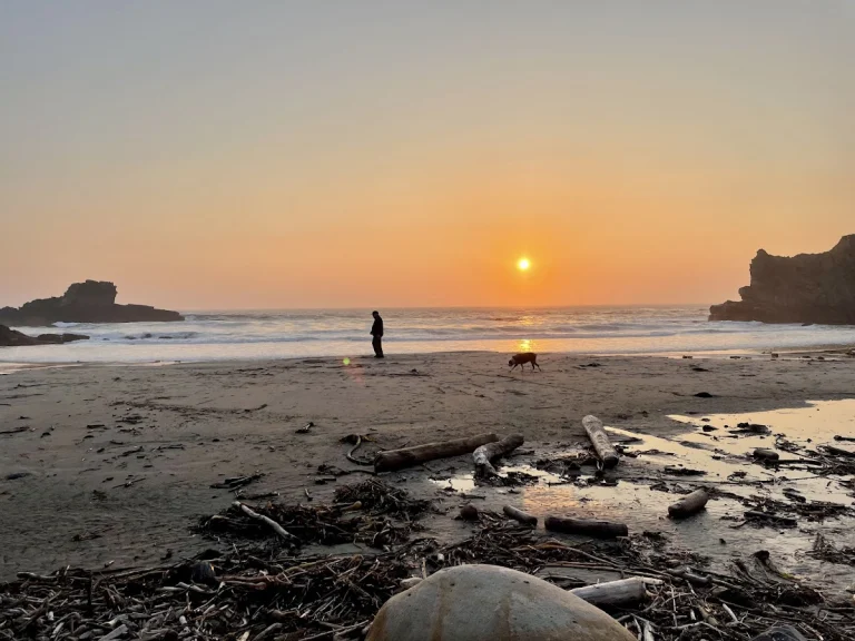 Cooks Beach / Bonham Trail
