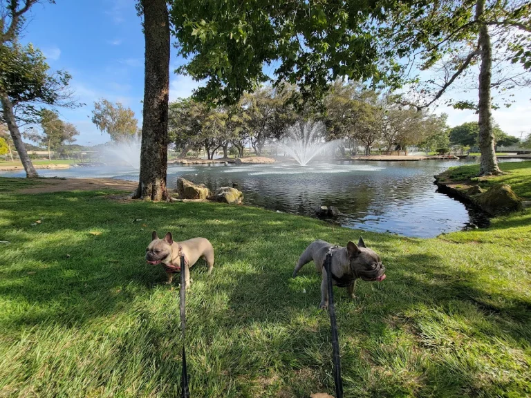 Costa Mesa Bark Park, a dog-friendly park in Costa Mesa, California