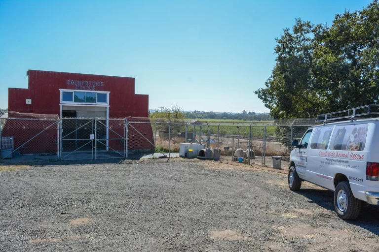 Countryside Rescue Google Places photo