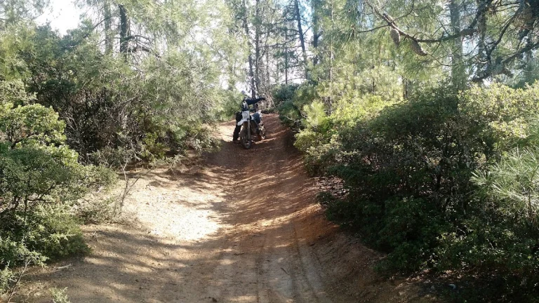 Cow Mountain Recreation Area