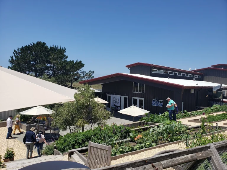 Cowgirl Creamery