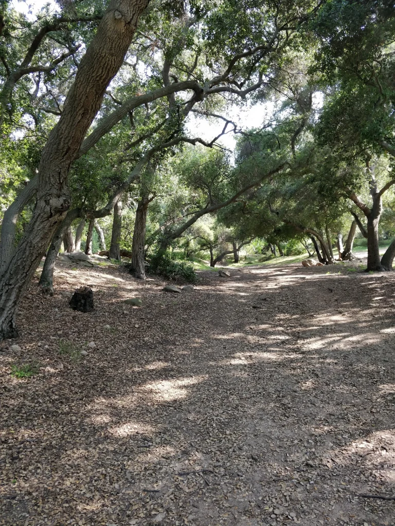Crescenta Valley Community, a dog-friendly park in La Crescenta, California