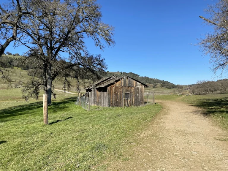 Cronan Ranch Regional Trails, a dog-friendly hiking trail in Pilot Hill, California