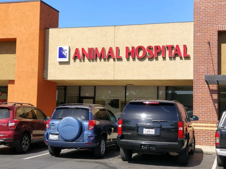 Crossroads Animal Hospital