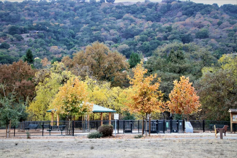 Cubby’s Dog Park