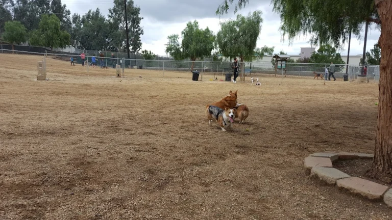 Culver City Dog Park