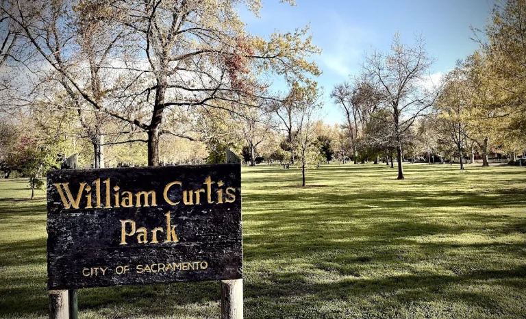Curtis Park, a dog-friendly park in Sacramento, California