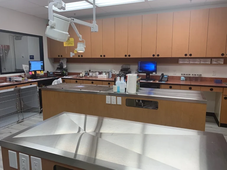 Curtner Pet Clinic, a dog-friendly veterinary clinic in San Jose, California