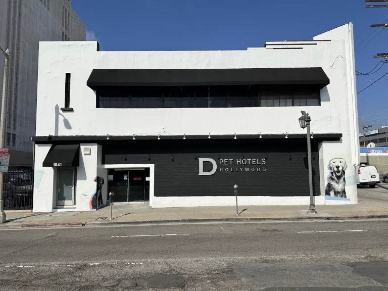 D Pet Hotels Hollywood
