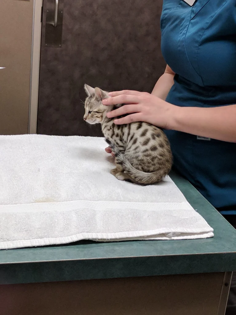 Dana Park Veterinary Hospital, Redding
