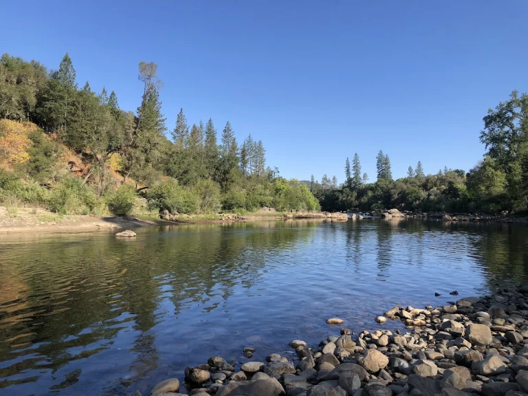 Dave Moore Nature Area, a dog-friendly hiking trail in Coloma, California