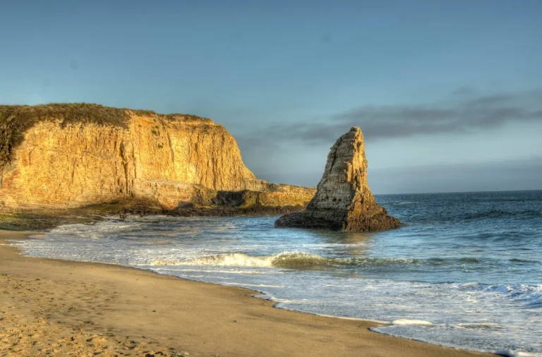 Davenport Beach, a dog-friendly beach in Davenport, California