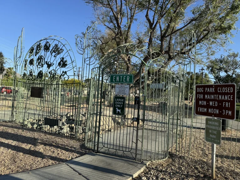 David H. dog park