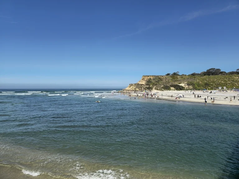 Del Mar Dog Park