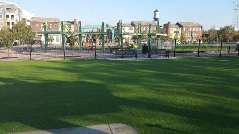 Del Monte Dog Park