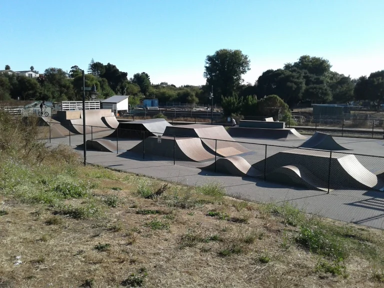Depot Park, a dog-friendly park in Santa Cruz, California