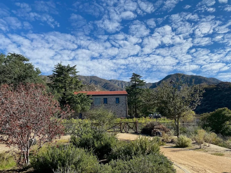 Deukmejian Wilderness Park, a dog-friendly park in Glendale, California