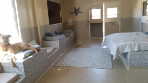 Dioji K-9 Resort & Athletic