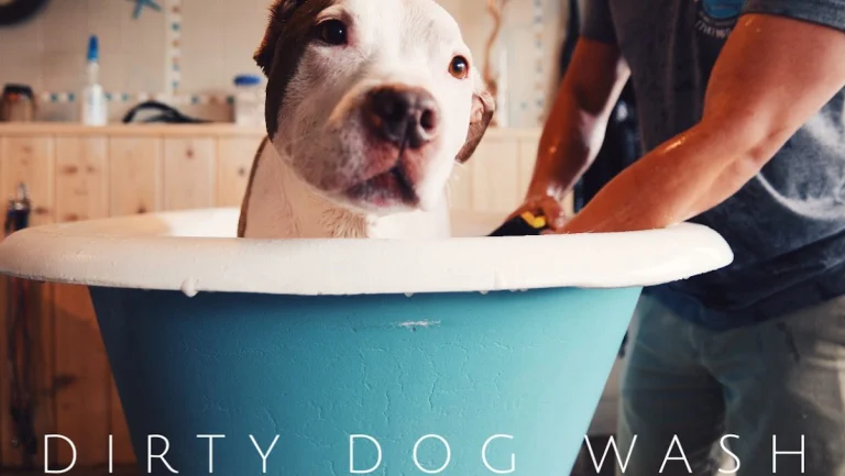 Dirty Dog Wash