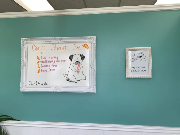 Dirty Paws Grooming Spa Google Places photo