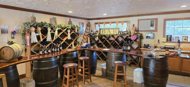 diVittorio Winery, Camino