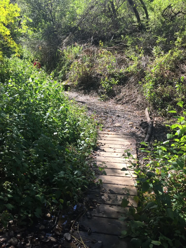 Dixie Canyon Park, a dog-friendly park in Sherman Oaks, California