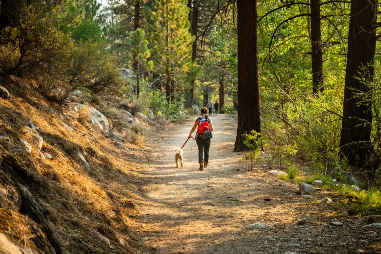 North to Vista