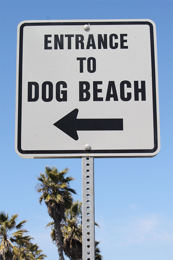 Dog Beach sign