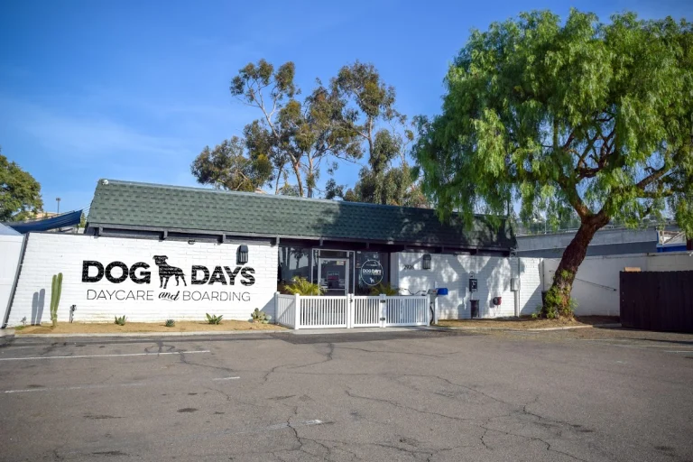 Dog Days Cagefree Daycare & 27