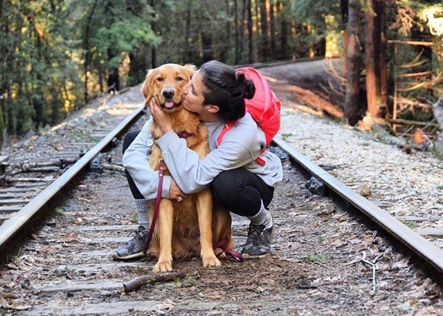 Woman and dog on train track