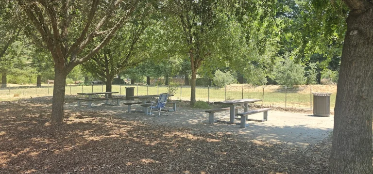 Dog Park at Wappo Park
