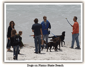 Dogs on Pismo State Beach