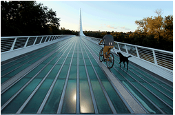 Sundial Bridge with dog