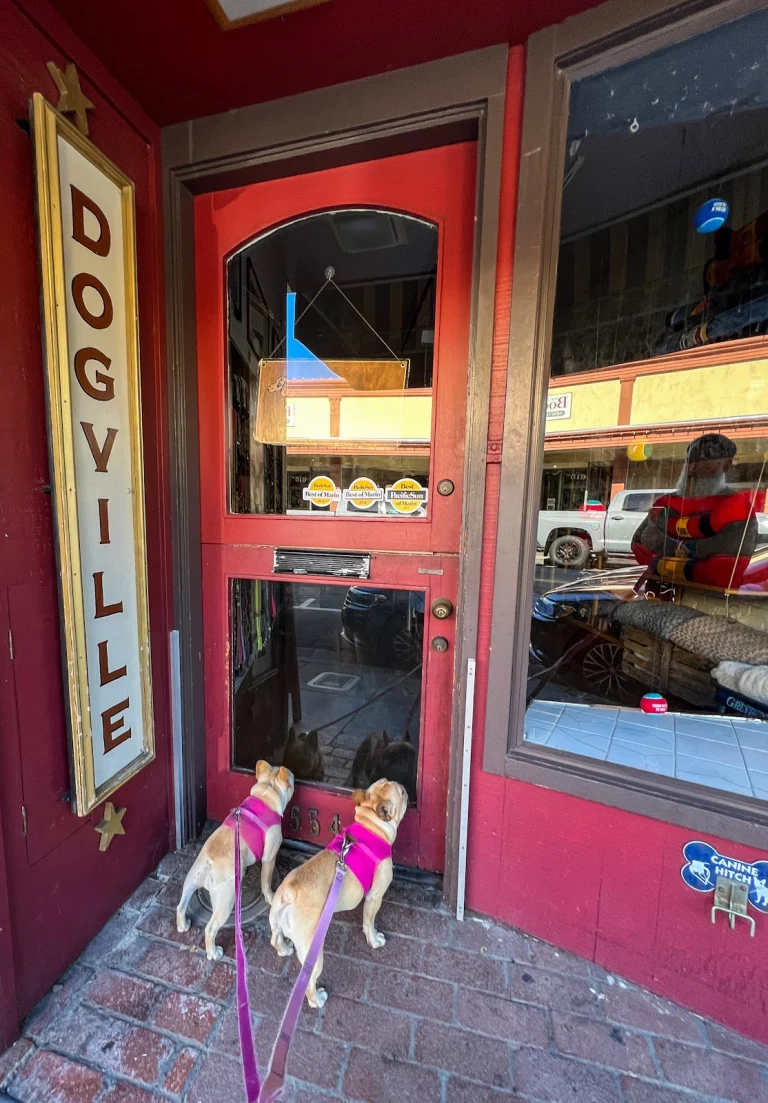 Dogville, San Anselmo