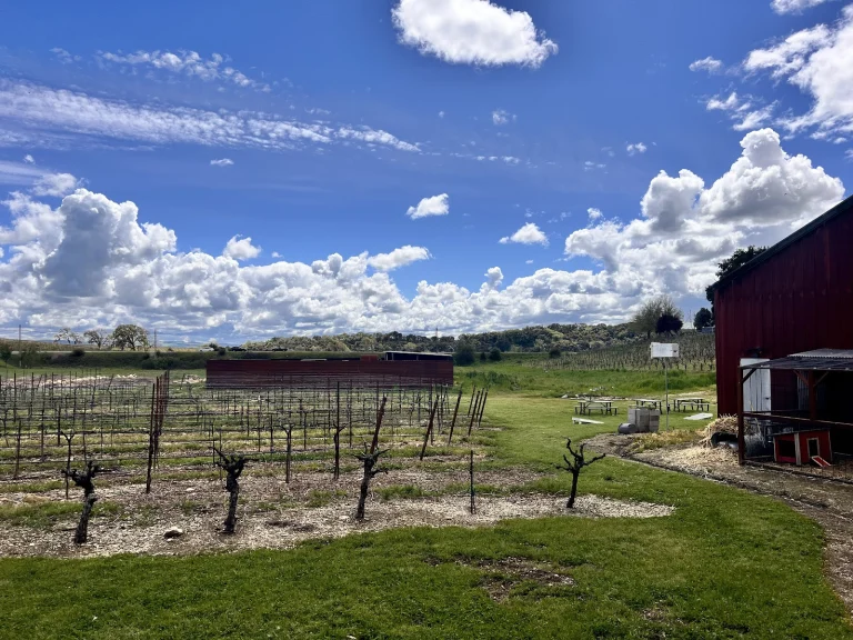 Don Angel Cellars