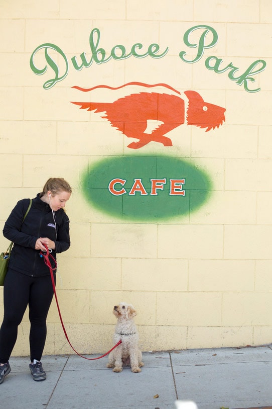 Dog in front of Duboce Cafe