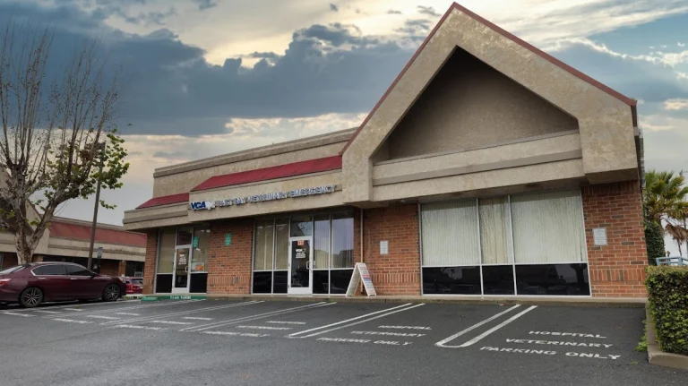 East Bay Veterinary Emergency, a dog-friendly veterinary clinic in Antioch, California