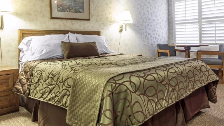 Econo Lodge Davis, a dog-friendly hotel in Davis, California