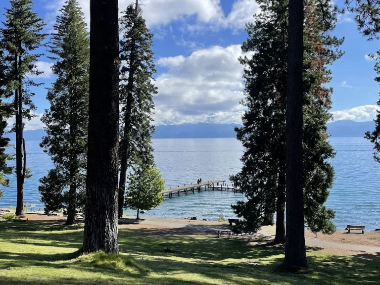 Ed Z'berg Sugar Pine, a dog-friendly park in Tahoma, California
