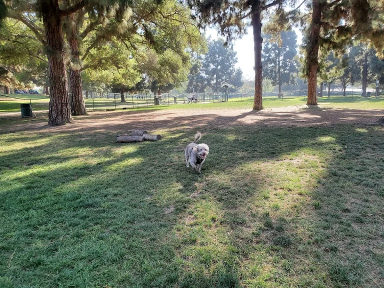 El Dorado Dog Park, a dog-friendly accessible destination in Long Beach, California