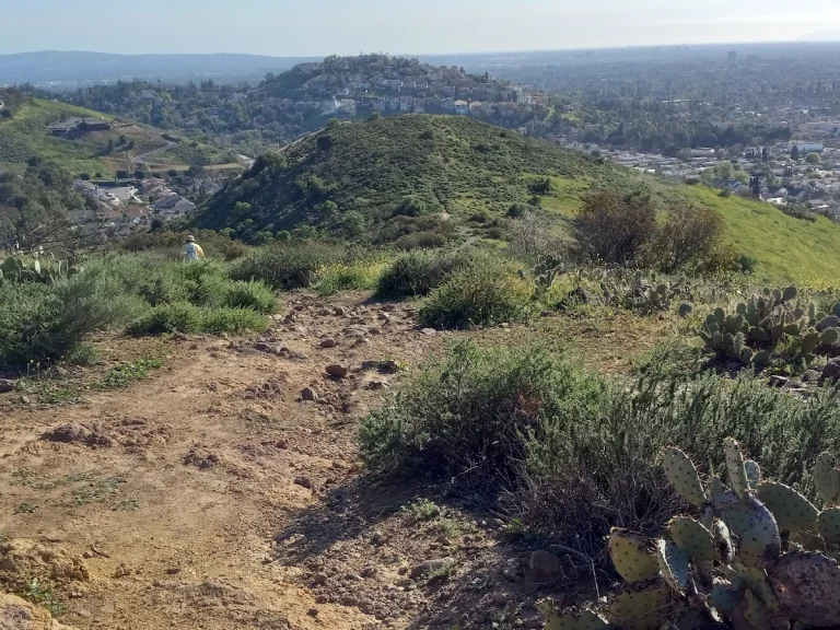 El Modena Open Space