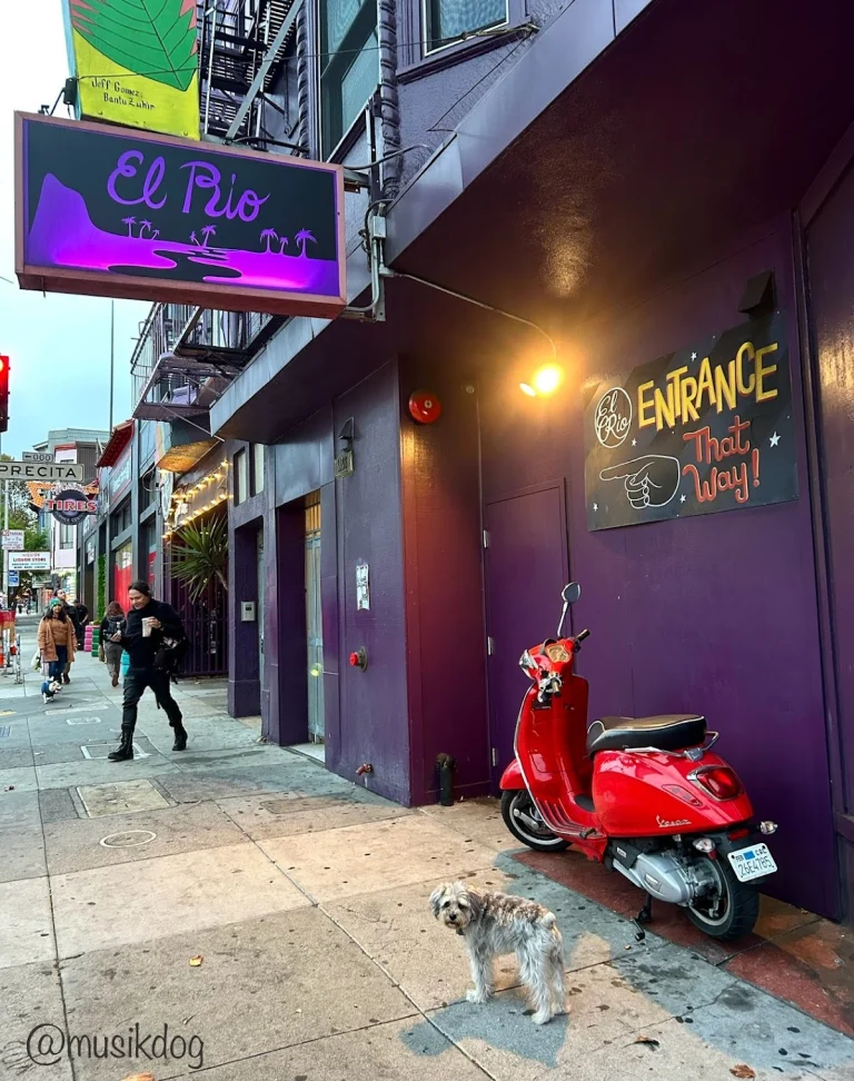 El Rio, a dog-friendly bar in San Francisco, California