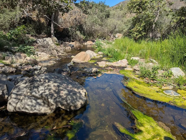 Elfin Forest, a dog-friendly park in Escondido, California