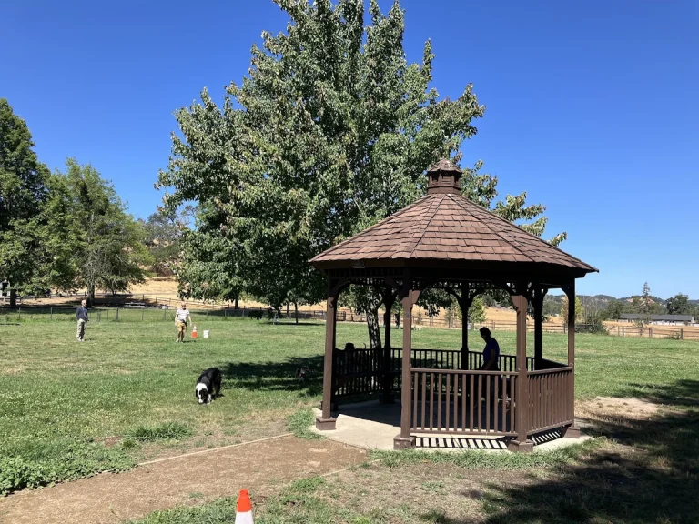 Elizabeth Anne dog park