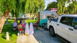 Emerald Desert RV Resort