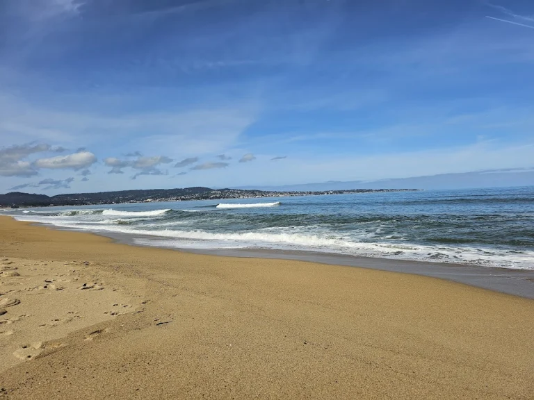 Eolian Dunes Preserve, a dog-friendly hiking trail in Monterey, California